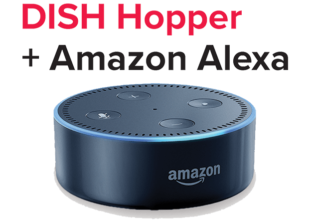 Dish store alexa setup