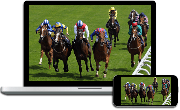 Live Horse Racing on DISH