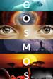 Cosmos: A Spacetime Odyssey