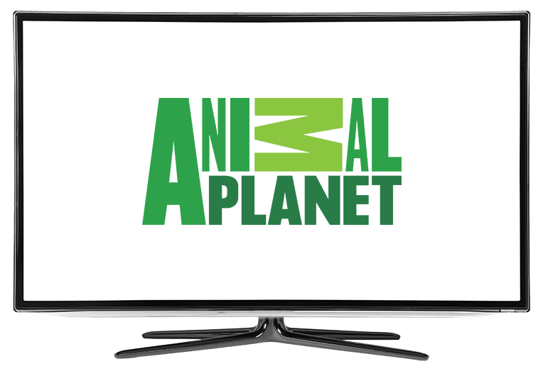 What Channel is Animal Planet on DISH?