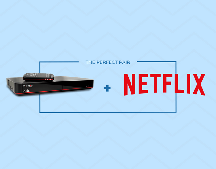 Stream Netflix Shows & Movies with DISH